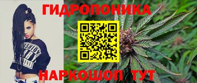 крисы Ипатово